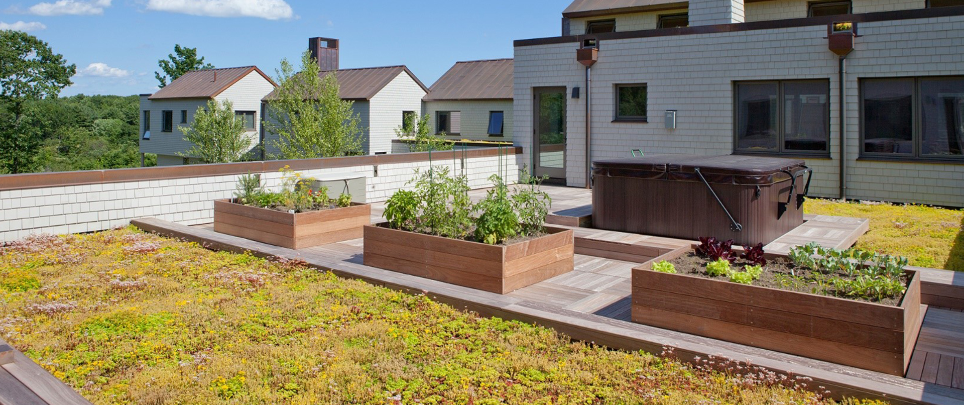 Practical Rooftop Space with Planters