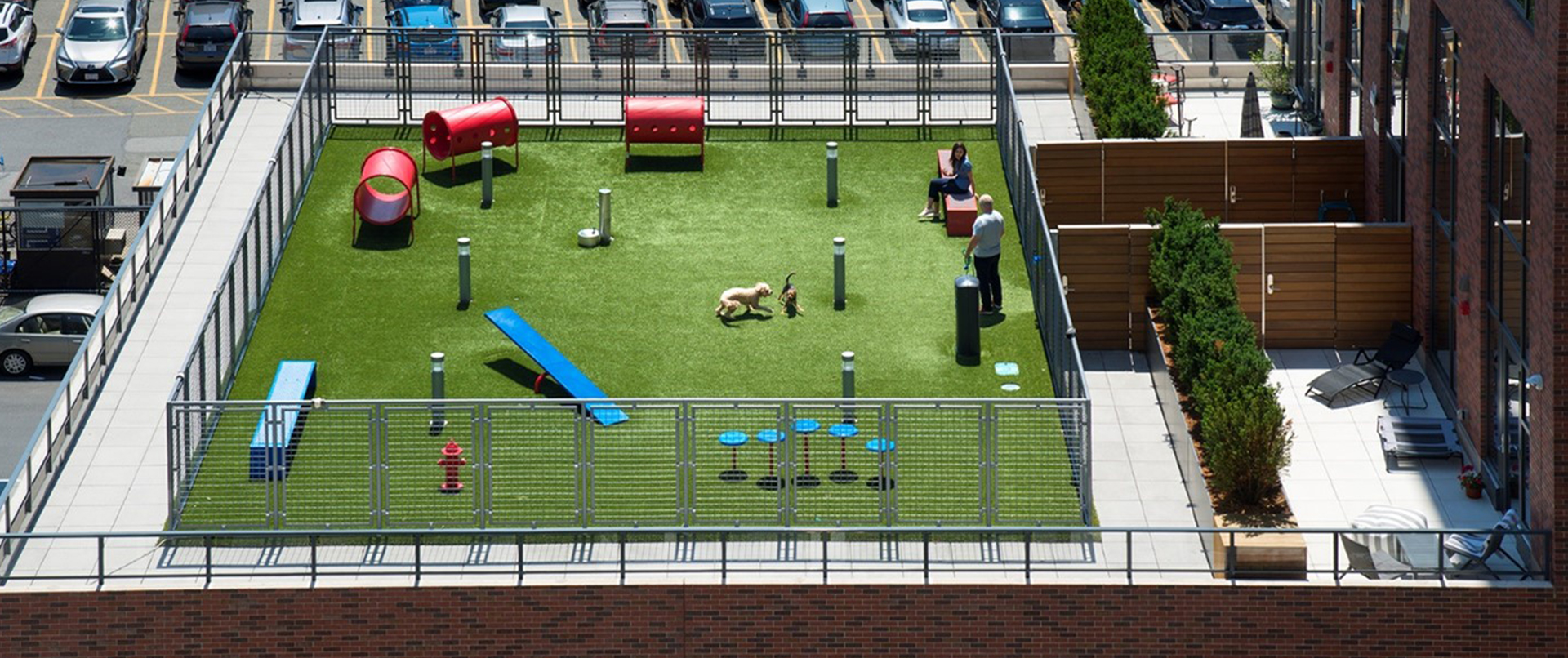 Dog Park on Rooftop