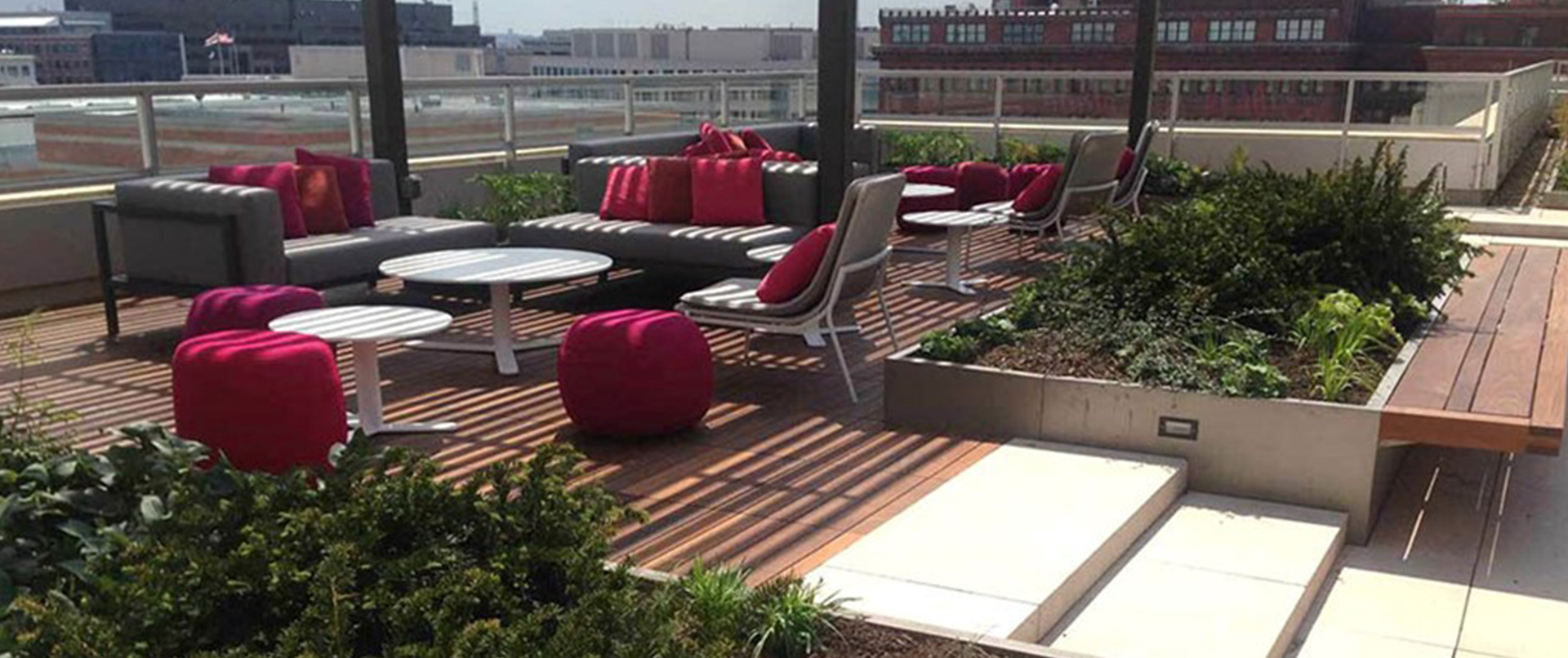Green Rooftop with Planters