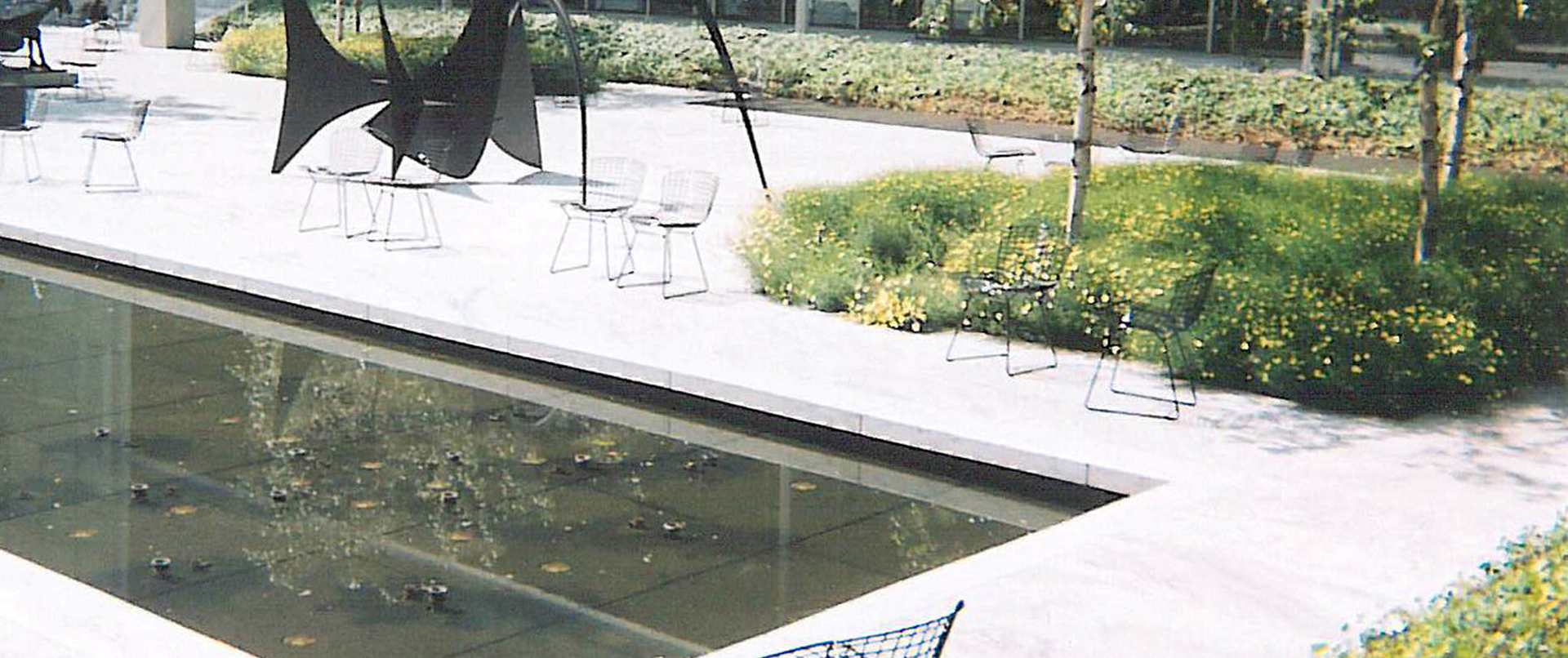 Modern Courtyard Reflection Pool